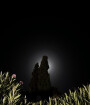 Moon Behind Tree, Valle dei Templi, Sicily